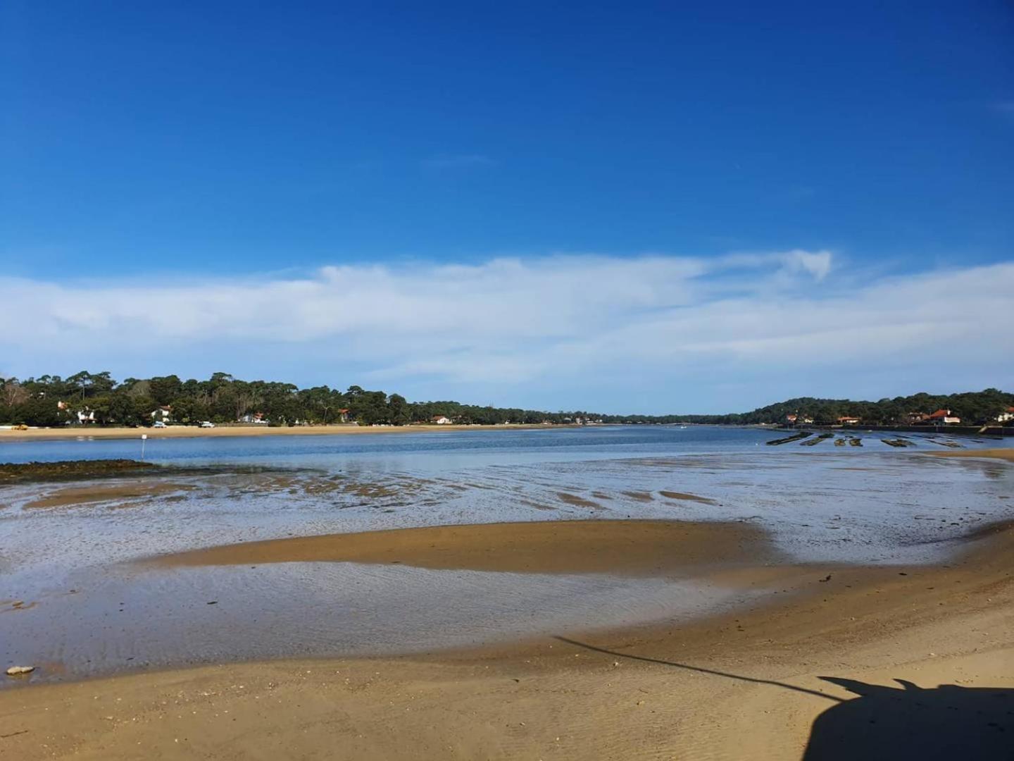 Haut Saint Georges - Un Emplacement Exceptionnel Au Centre-Ville Et Au Calme A Quelques Pas Du Lac Marin Soorts-Hossegor Dış mekan fotoğraf